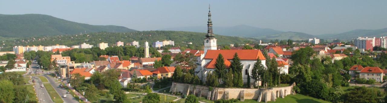 Hotel Diana Nové Mesto nad Váhom Bagian luar foto